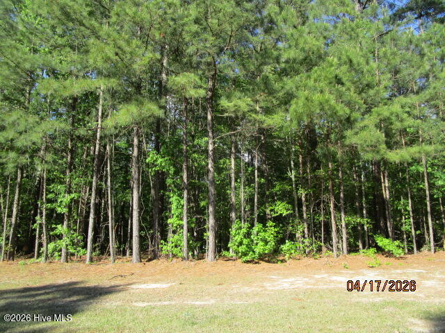 47 47 Boshers Point Drive, Hertford, NC 27944 — photo 2