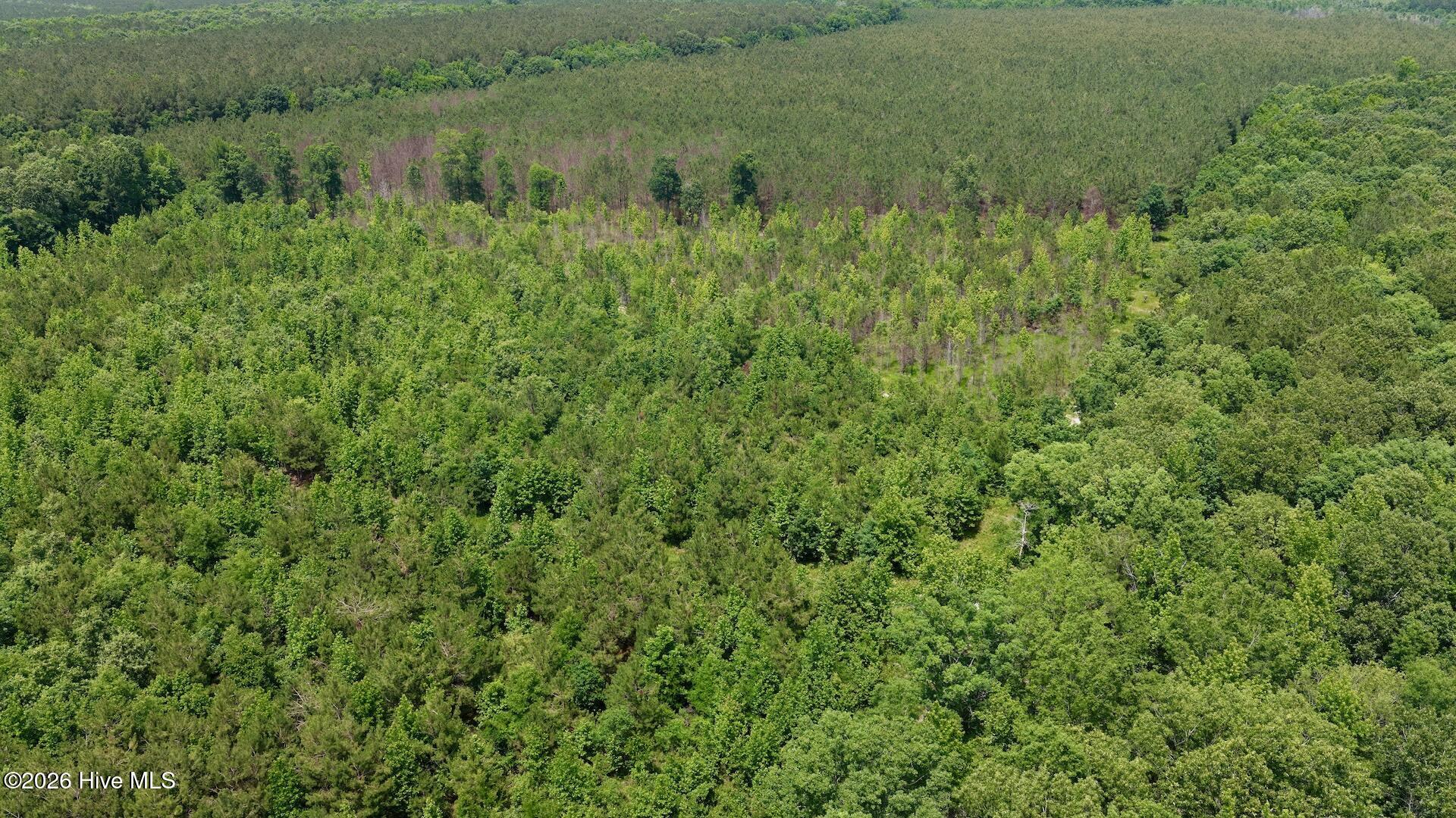 0 Indian Woods Road, Windsor, NC 27983 — photo 2