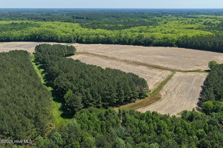 0 Kirkman Road, Robersonville, NC 27871 — photo 4