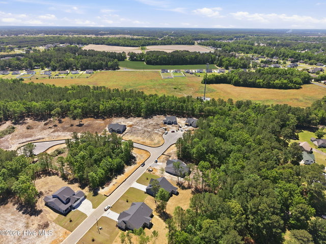 2980 Tucker Hill Drive, Grimesland, NC 27837 — photo 39