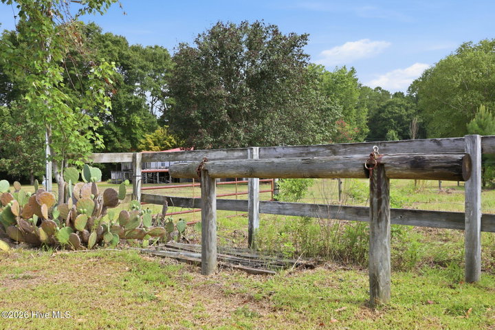 3148 Lewis Haddock Road, Grifton, NC 28530 — photo 7