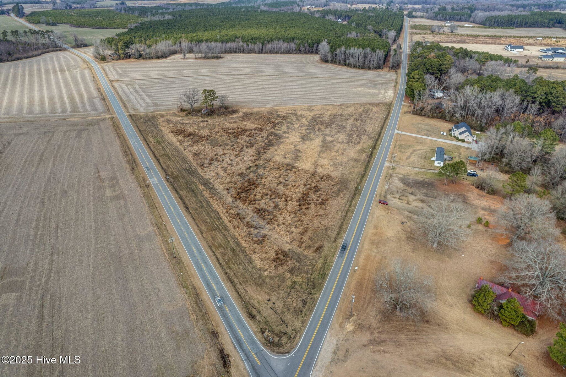 Lot 3 3 Red Oak Road, Whitakers, NC 27891 — photo 5