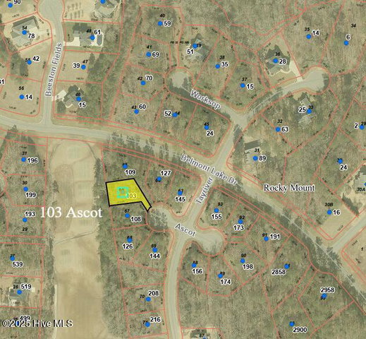 103 Ascot, Rocky Mount, NC 27804