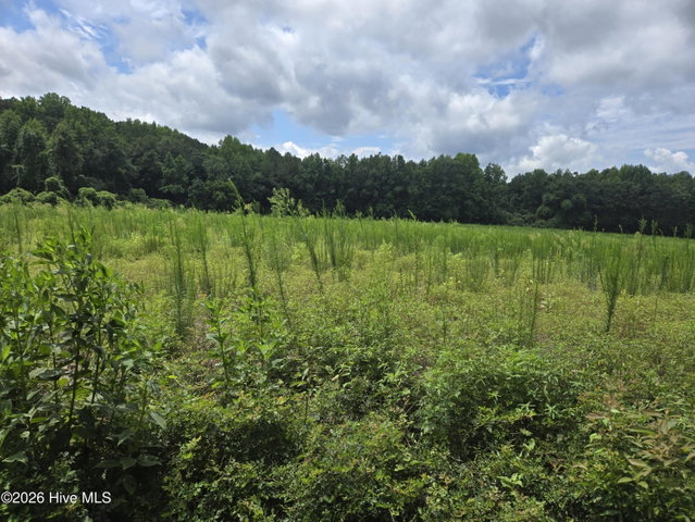 0 Ballard Road, Williamston, NC 27892 — photo 17