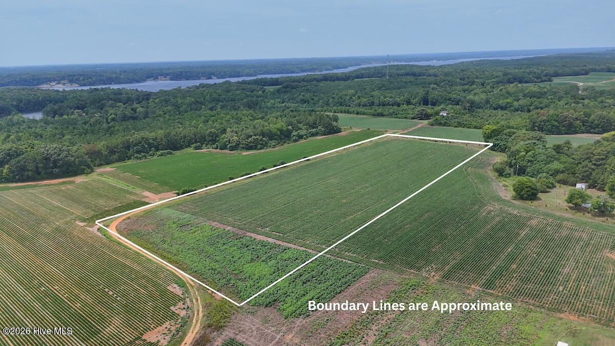 0 Nc-46, Gaston, NC 27832 — photo 2