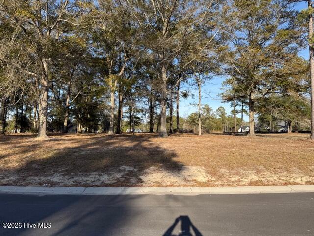 7504 88 Donegal Circle SW image