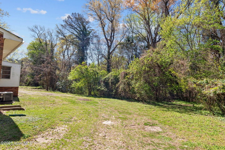 3630 E 10th Street, Greenville, NC 27858 — photo 42