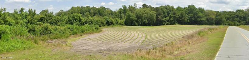 4221 Bud Parker Rd Road, Greenville, NC 27834 — photo 3