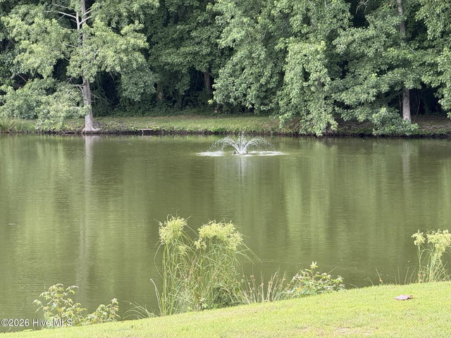 605 Spring Forest Road E, Greenville, NC 27834 — photo 8