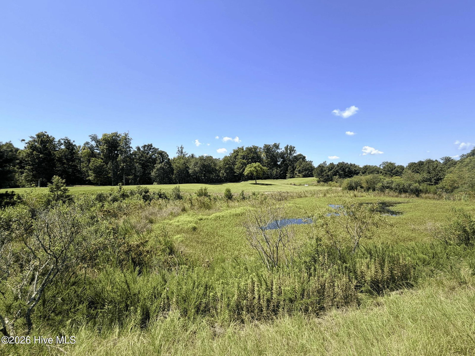 135-137 344 W Royal Way, Merry Hill, NC 27957 — photo 3