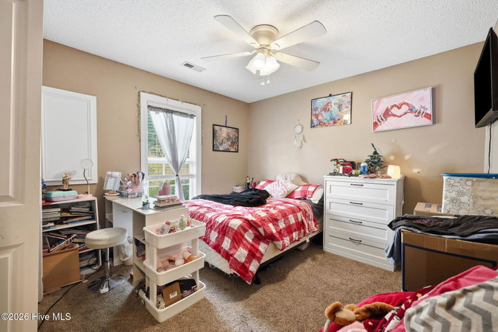 3726 Countryaire Drive, Ayden, NC 28513 — photo 14