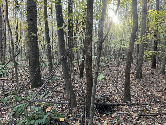 Lot 95-77 P95-77 Crocker Hill Road, Elizabeth City, NC 27909 — photo 8