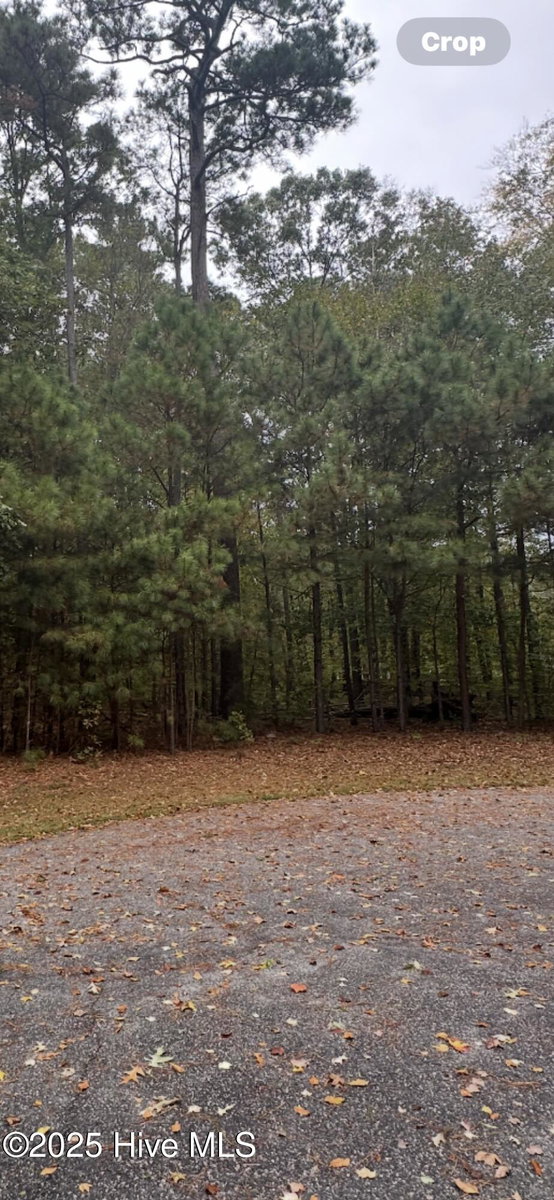 14 Broad River Drive, Hertford, NC 27944 — photo 4