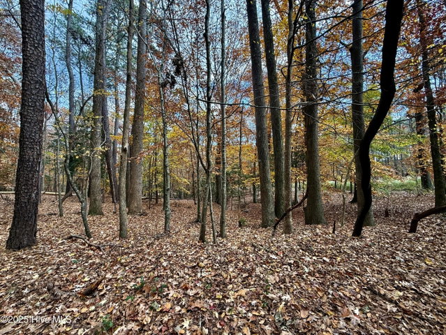 0 Williams Road, Williamston, NC 27892 — photo 12