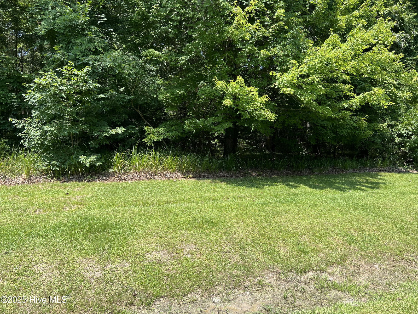 62 62 Deep Creek Shore, Hertford, NC 27944 — photo 3
