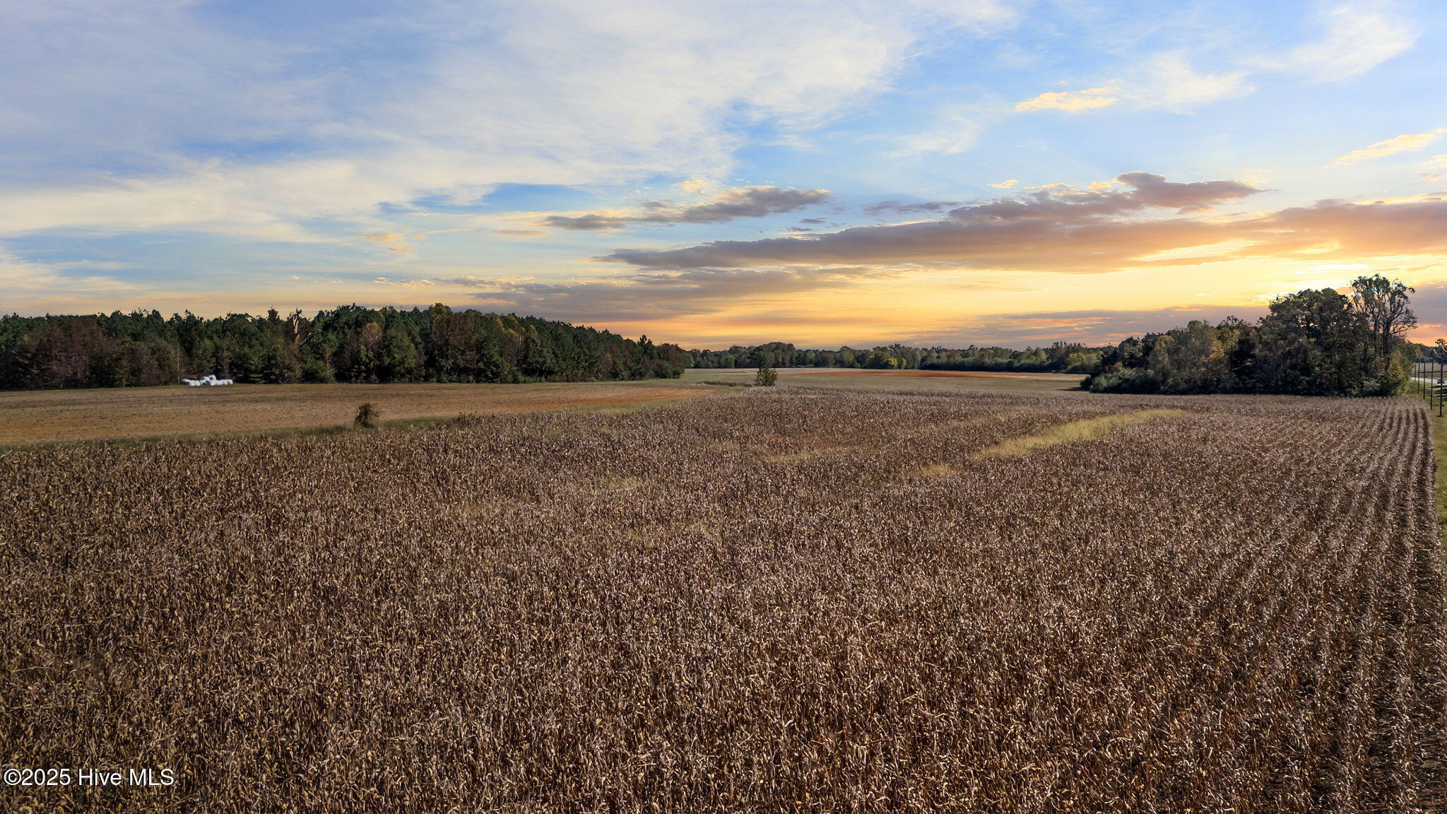 0 5-3 Nc 43, Whitakers, NC 27891 — photo 2