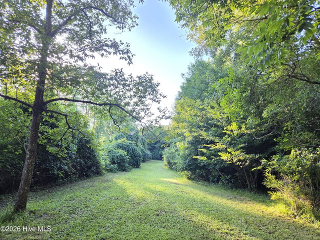 3978 Nc Highway 32 S, Plymouth, NC 27962 — photo 25