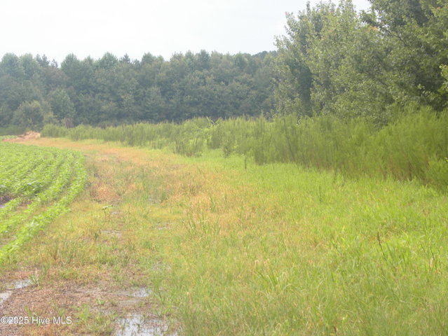 Tbd Conetoe Road, Greenville, NC 27834 — photo 7