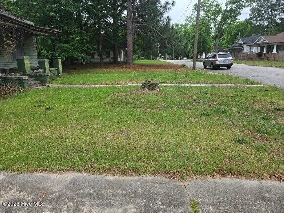 1111 Hargrove Street, Rocky Mount, NC 27801 — photo 3