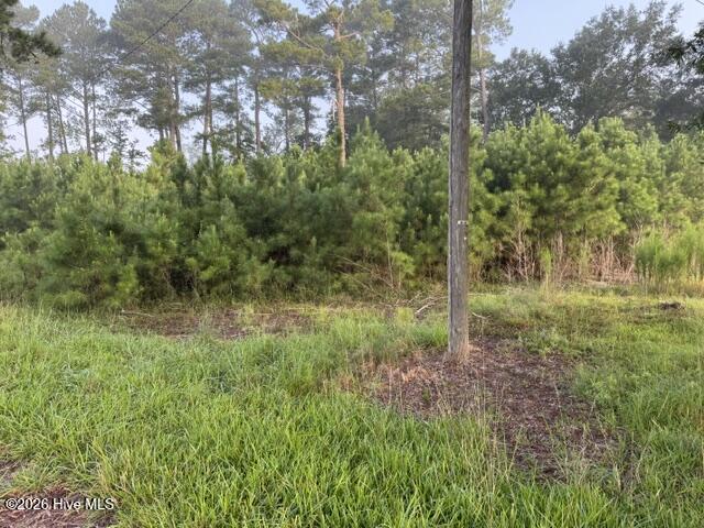 6076 Marvin Taylor Road, Grifton, NC 28530 — photo 4