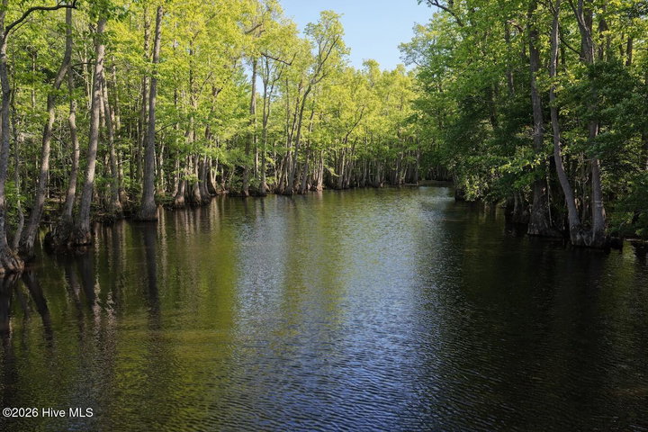 0 Kirkman Road, Robersonville, NC 27871 — photo 24
