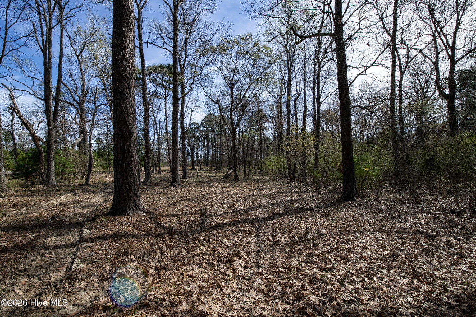 Lot 6 6 Peninsula Shores Way, Hertford, NC 27944 — photo 3