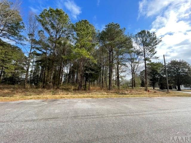 0 NA New Road, Columbia, NC 27925 — photo 2