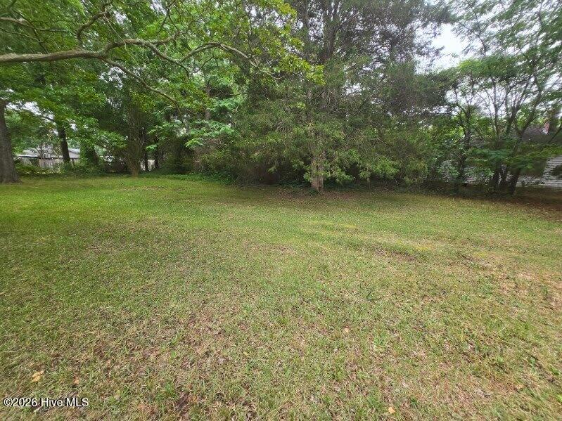 1115 Hargrove Street, Rocky Mount, NC 27801 — photo 3