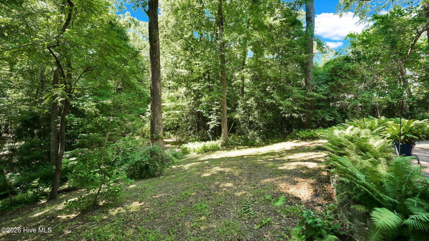 141 E Longmeadow Road, Greenville, NC 27858 — photo 9