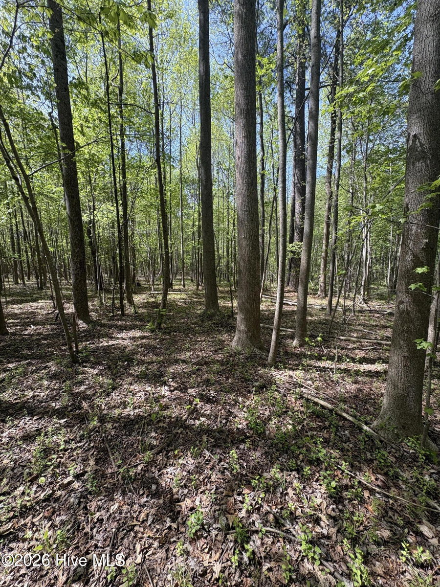 7818-1 McGregor Road, Nashville, NC 27856 — photo 4