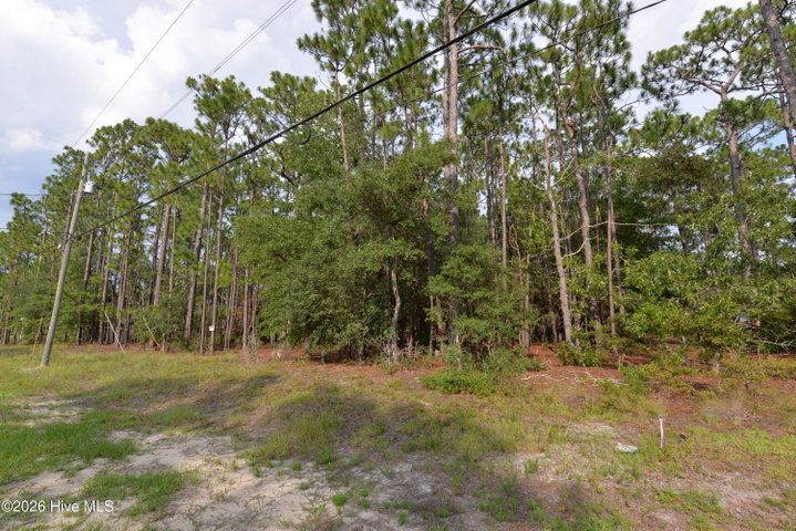 881 50+51 Eden Drive image
