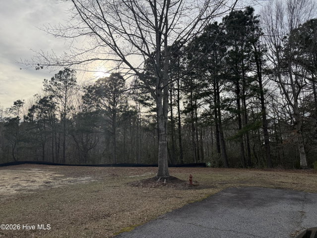313 Y48 Megan Loop N, Hertford, NC 27944 — photo 2