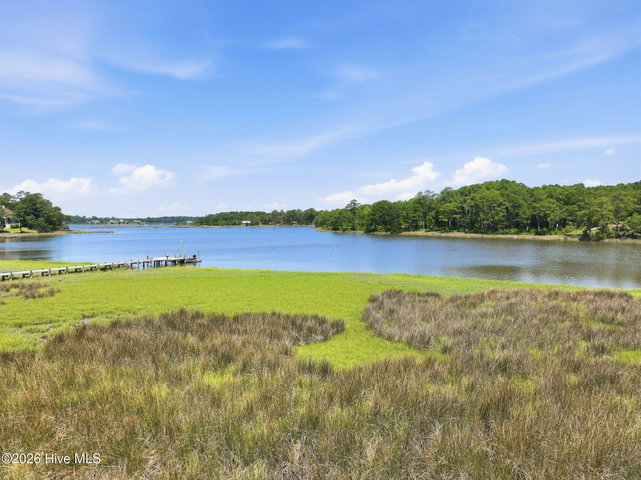 123 White Swan Way image
