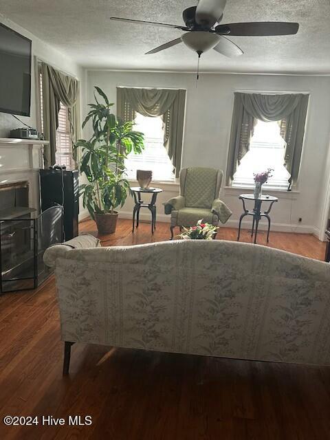 301 W Pittsylvania Street, Halifax, NC 27839 — photo 4