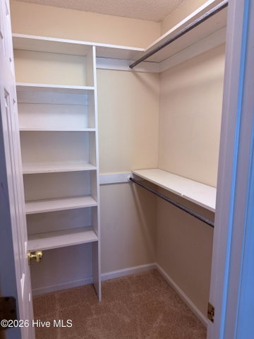 812 Hidden Branches Close, Winterville, NC 28590 — photo 23