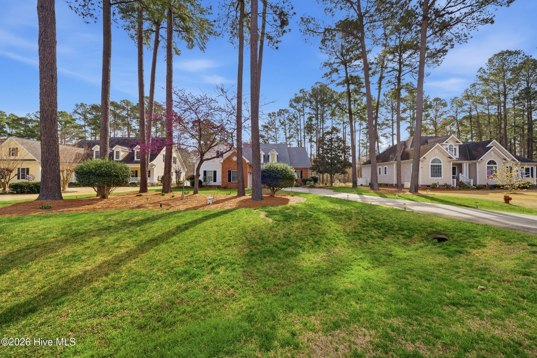 111 Greenwood Drive, Hertford, NC 27944 — photo 5