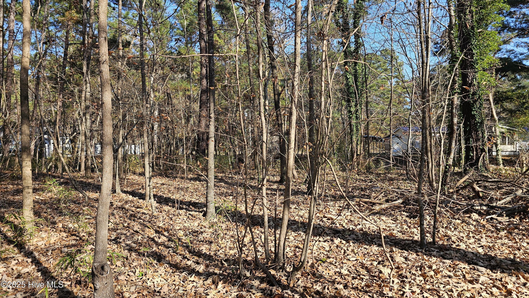 184 26F Shady Lane, Hertford, NC 27944 — photo 2