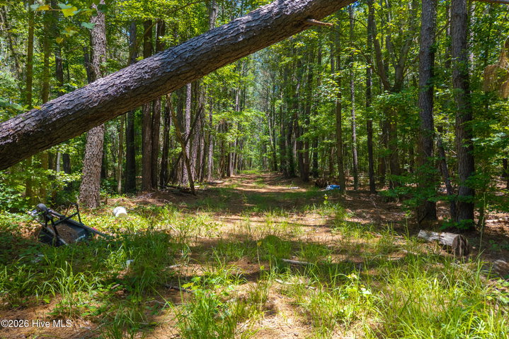 674 State Road 1415, Greenville, NC 27834 — photo 10