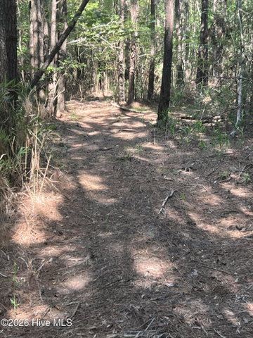2364 Nc 102 E, Ayden, NC 28513 — photo 19