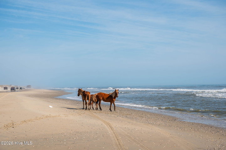 2088 Sandpiper Road, Corolla, NC 27927 — photo 22