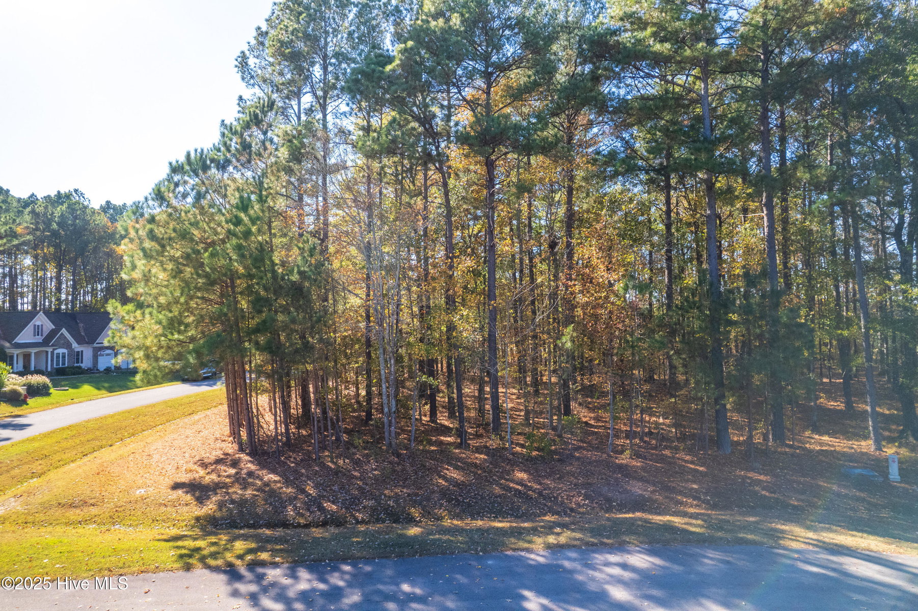 65 JJ65 Standard Bred Way, Hertford, NC 27944 — photo 4