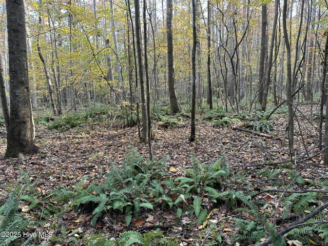 Lot 95-77 P95-77 Crocker Hill Road, Elizabeth City, NC 27909 — photo 7