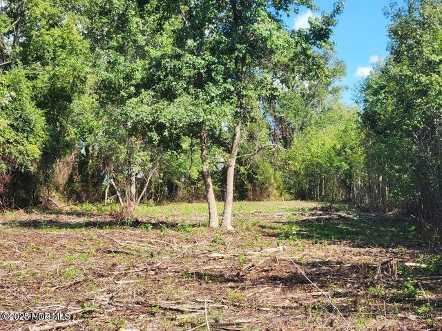 6943 1 Us 264 E, Greenville, NC 27834 — photo 10