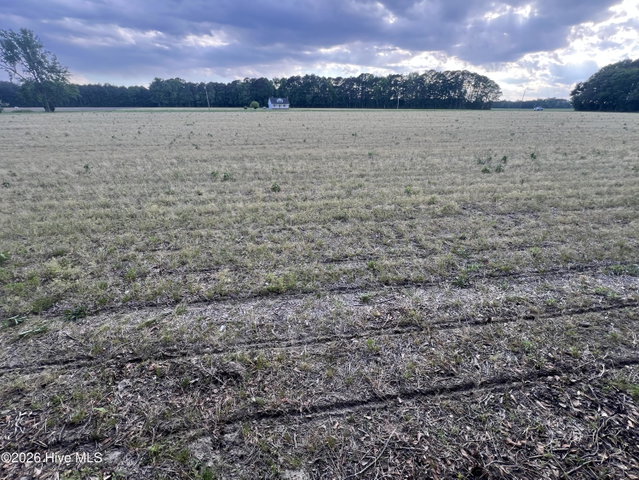 0 Tract 1 Nc 30, Stokes, NC 27884 — photo 15