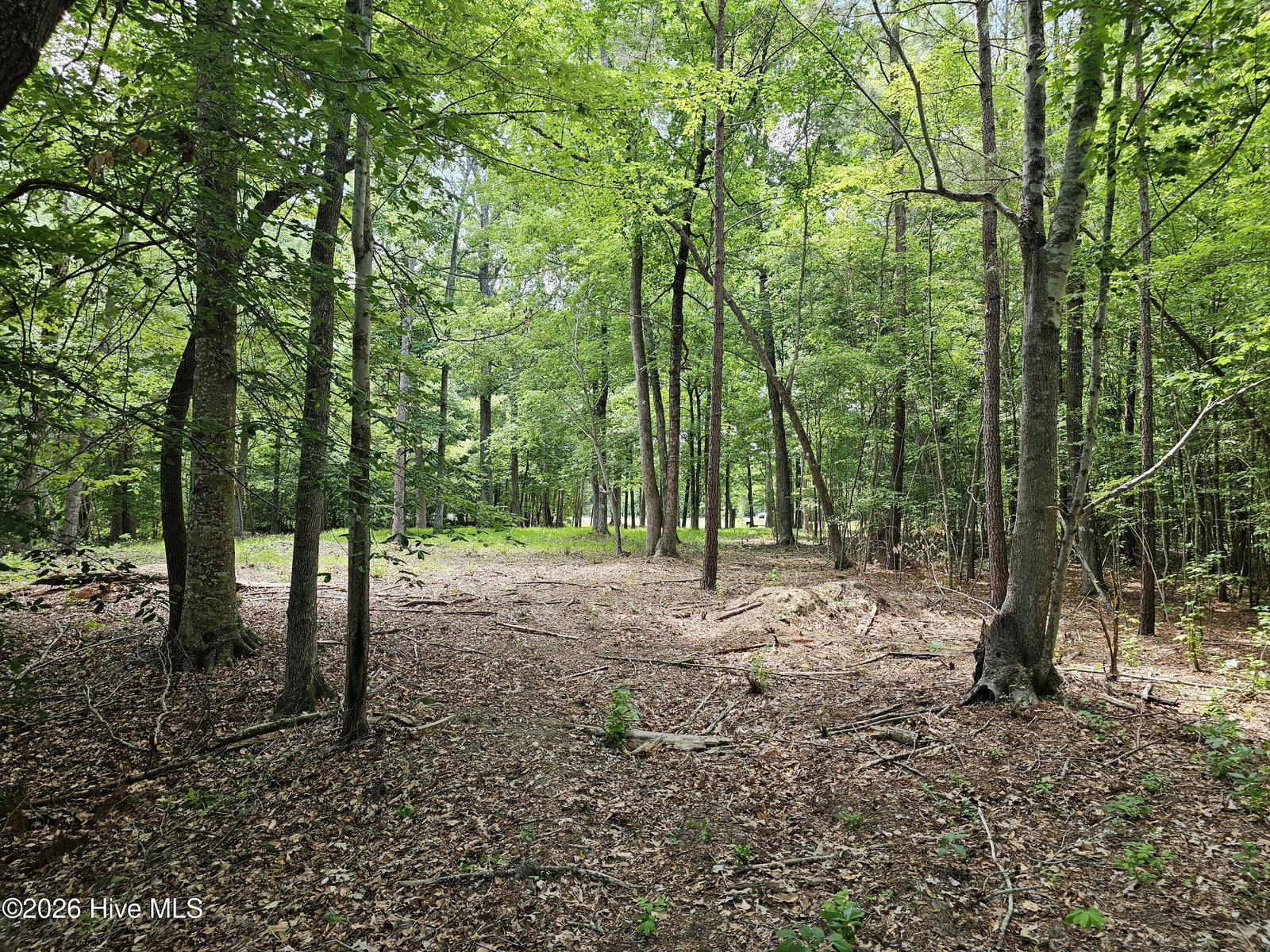 Lot 58 58 See View Lane, Hertford, NC 27944 — photo 5