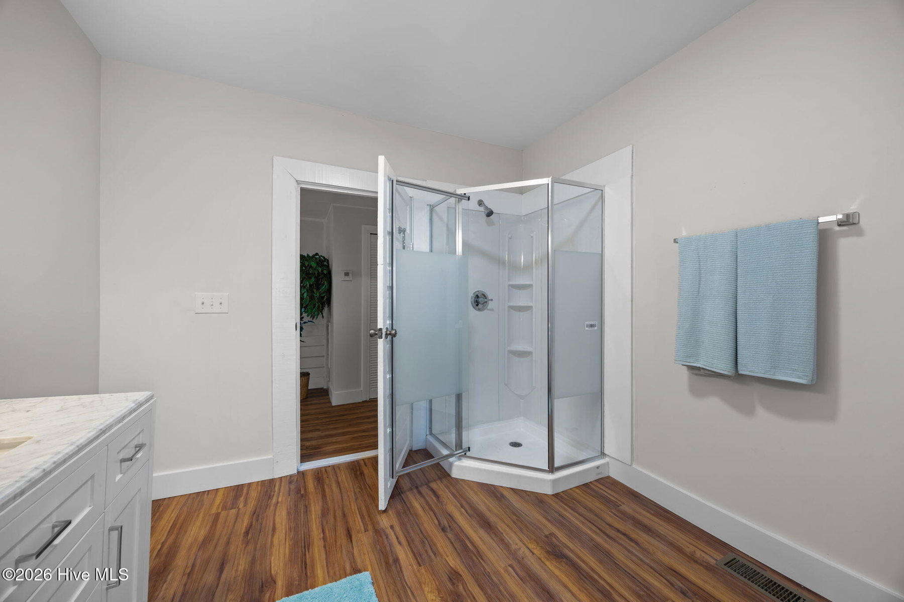 809 Church Street, Scotland Neck, NC 27874 — photo 5