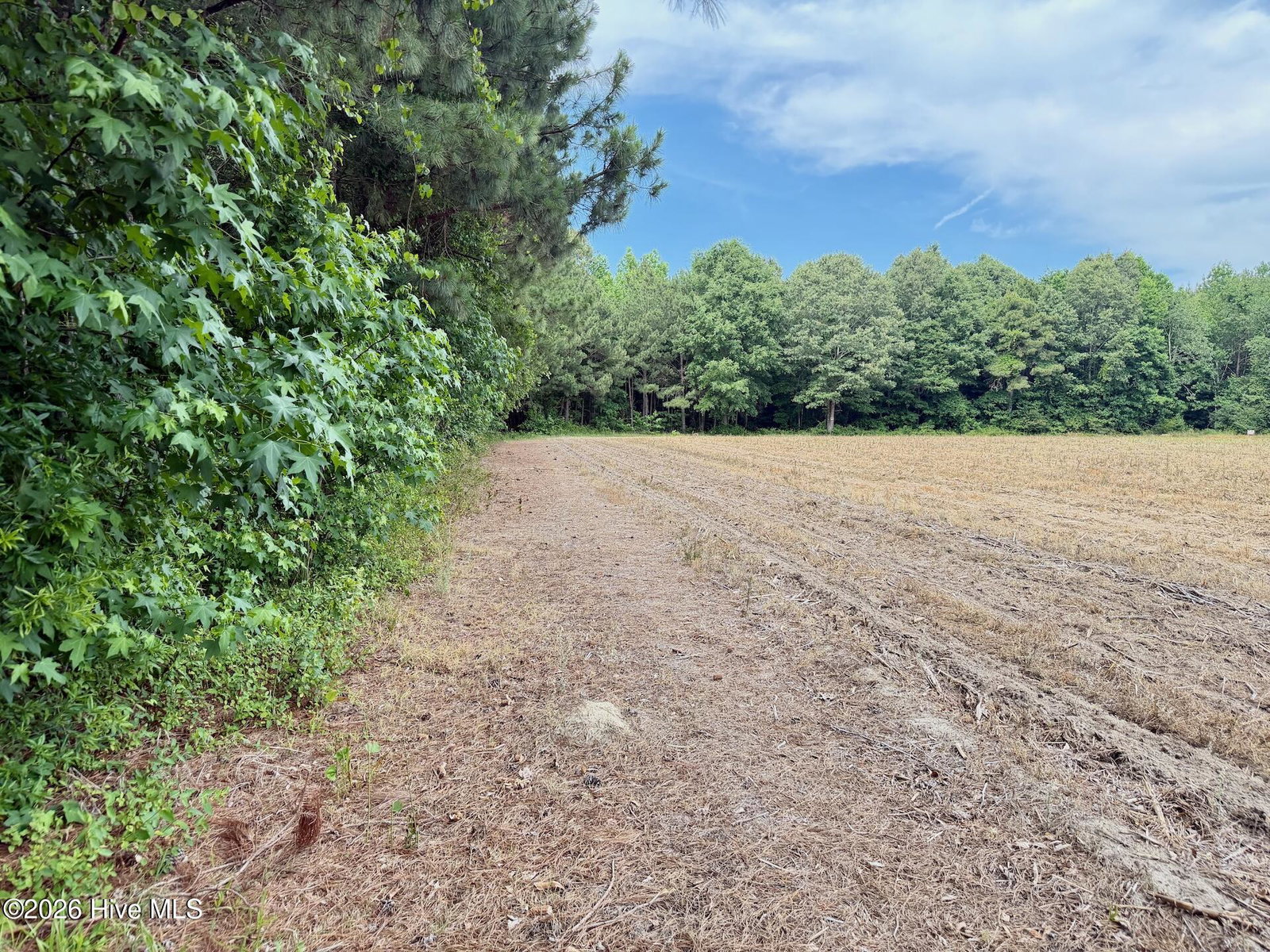 0 Off 1040d Republican Road, Windsor, NC 27983 — photo 4