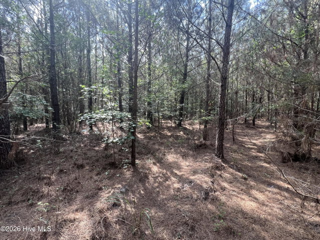2364 Nc 102 E, Ayden, NC 28513 — photo 16