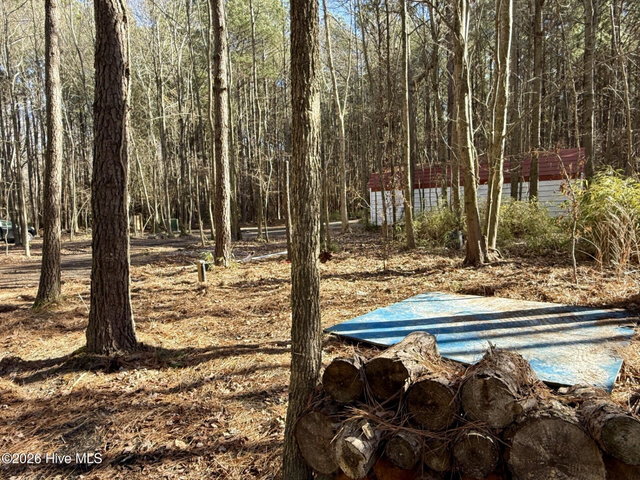 1176 Folley Road, Elizabeth City, NC 27909 — photo 32