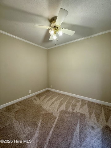 1191 Robin Lane, Jamesville, NC 27846 — photo 61